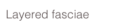 Layered fasciae