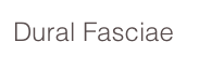 Dural Fasciae