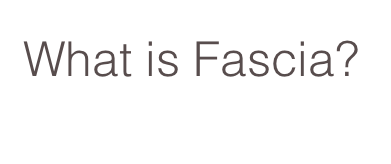 What is Fascia?